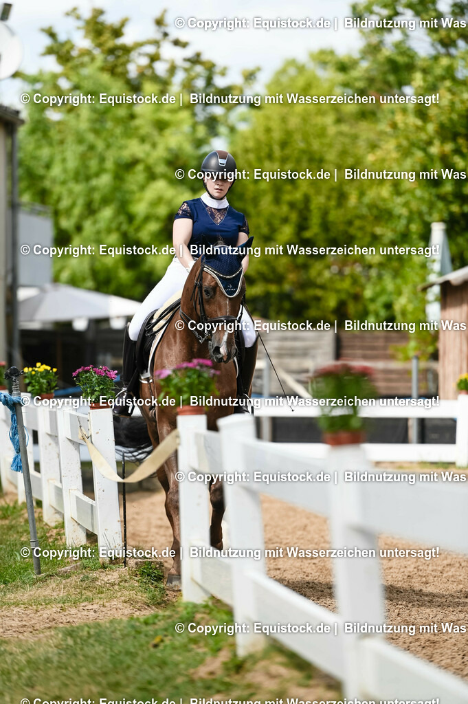 20230716_01_Dressurprüfung Kl.M_0359 | equistock