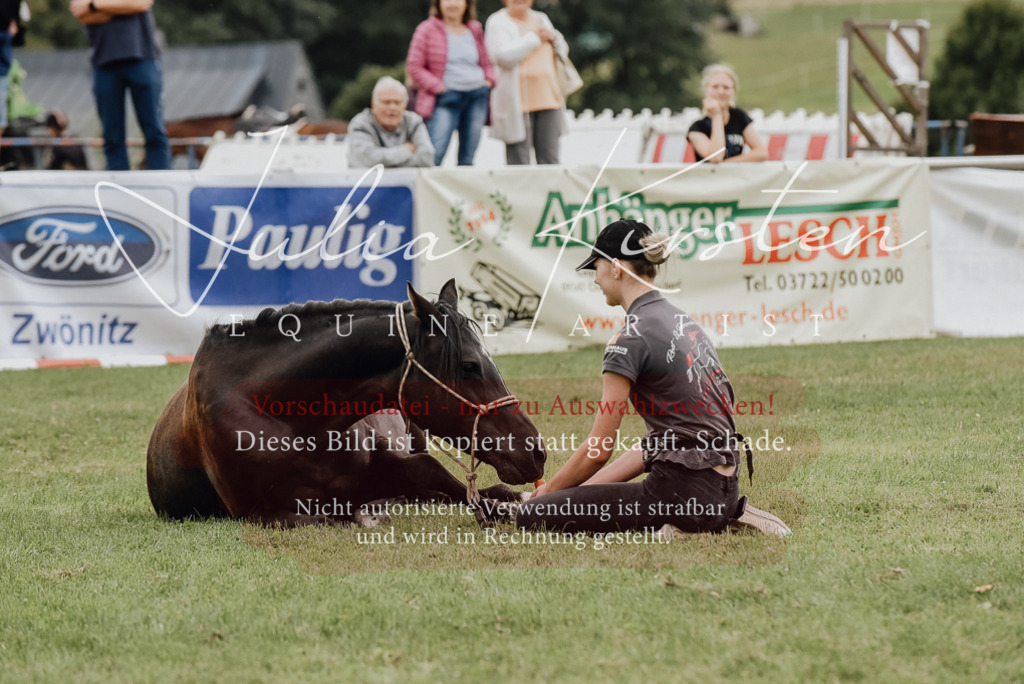 DSC_3951 | Pferde- und Turnierfotografie in Westsachsen. Pferdeportraits, Auftragszeichnungen und intuitive Kunst.