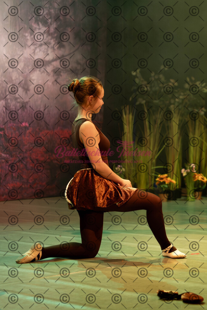 Ballettaufführung-1214 | Bildershop Lem'n Entertainment - Realisiert mit Pictrs.com