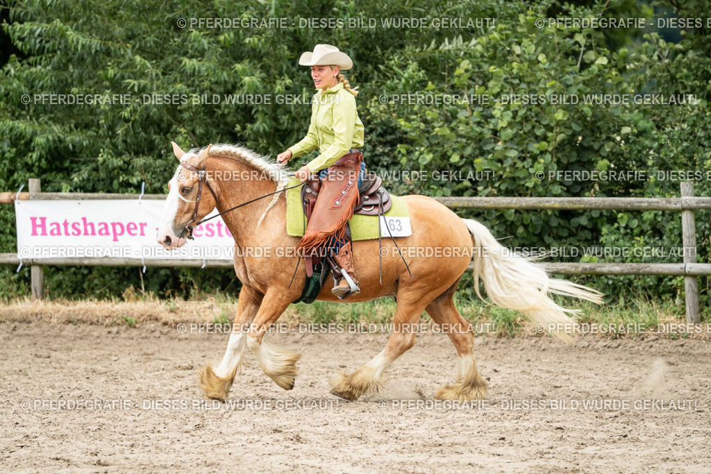 DSC02793 | Pferdegrafie