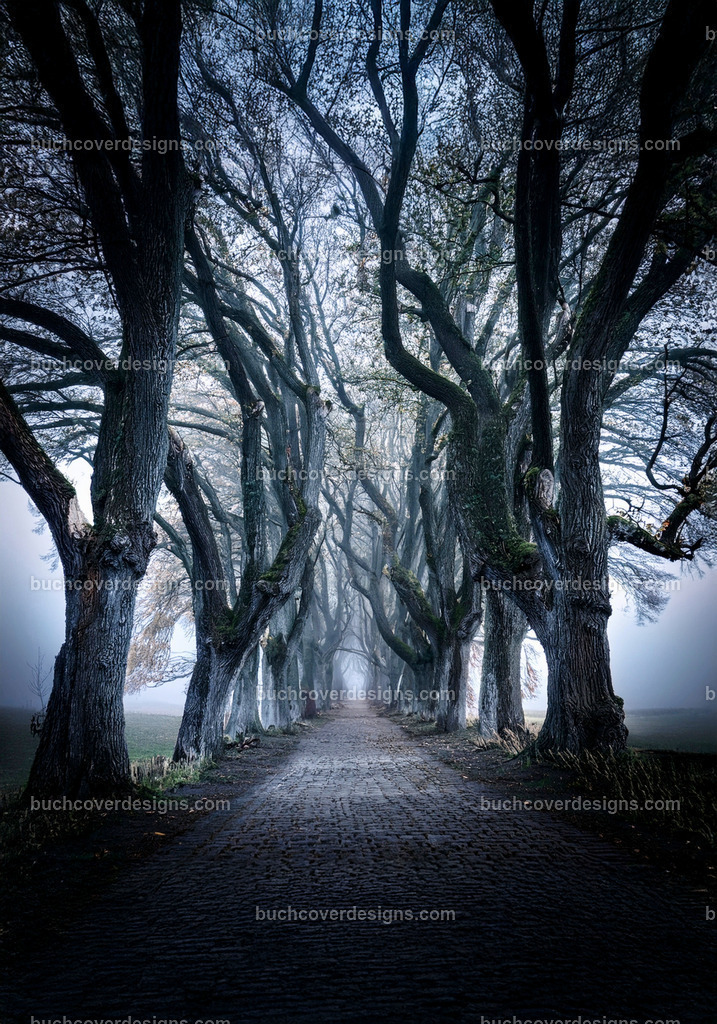 Baumen weg Corridor  (4) | Entdecken Sie kreative Buch Cover Designs für Self-Publishing-Autoren und Verlage! Unsere maßgeschneiderten Designs ziehen Leser an und bringen Ihre Geschichten visuell zum Leben. Lassen Sie uns Ihr perfektes Cover gestalten!