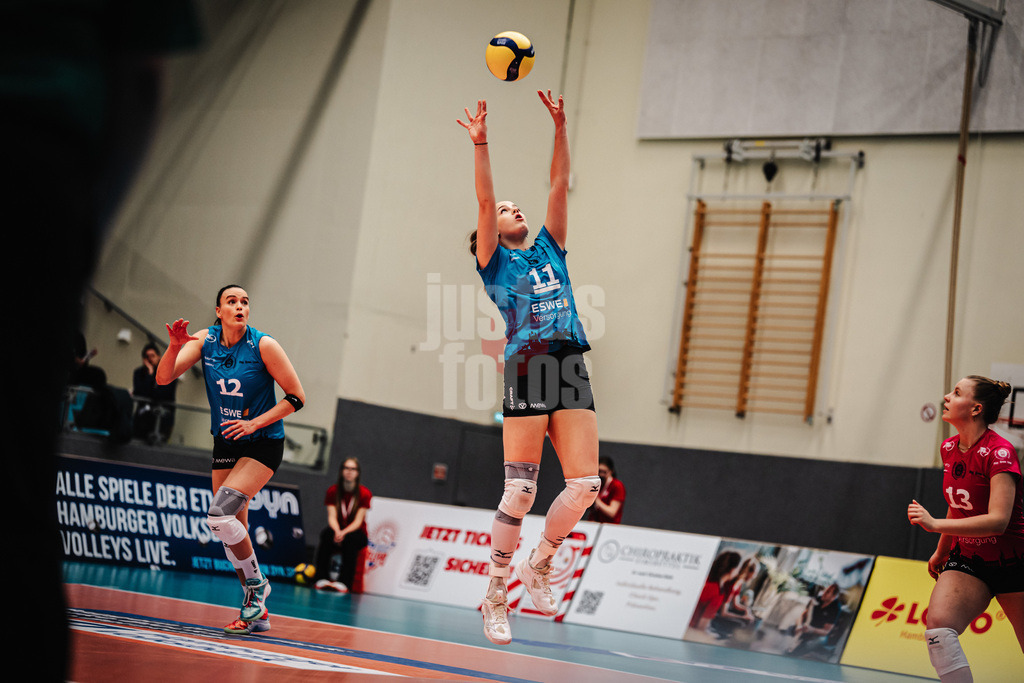 Volleyball | Frauen | Saison 2025/2026 | Volleyball Bundesliga | ETV Hamburger Volksbank Volleys vs. VC Wiesbaden | 14.03.2026 | Zuspiel von Sanne Konijnenberg (#11, VC Wiesbaden)