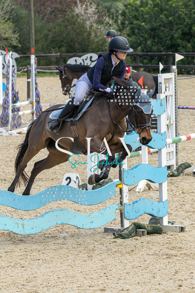 IMG_4936 | s-jay-photography - Realisiert mit Pictrs.com