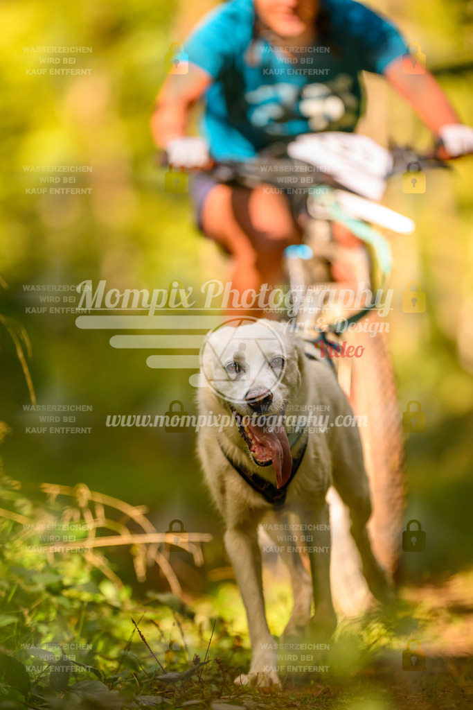 MompixPhotography_Yens2025_B2-86 | PayLife