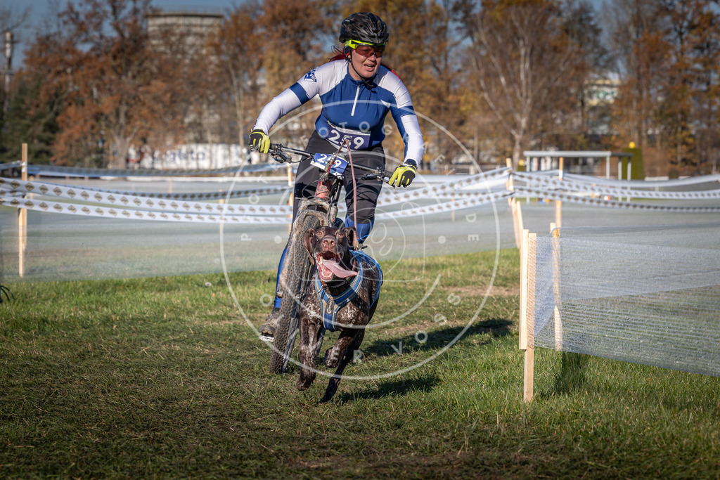 CaniXpix_0L8A5016 | Hundefotografie, Tierfotograf, Pfotenfotografie, Fotoshooting Hund, Hunde Portrait, Hundesport, Hundeportraits, Heideshooting, Hunde, Sportfotograf, Hundefotograf, Turnierhundsport, THS,  - Realisiert mit Pictrs.com