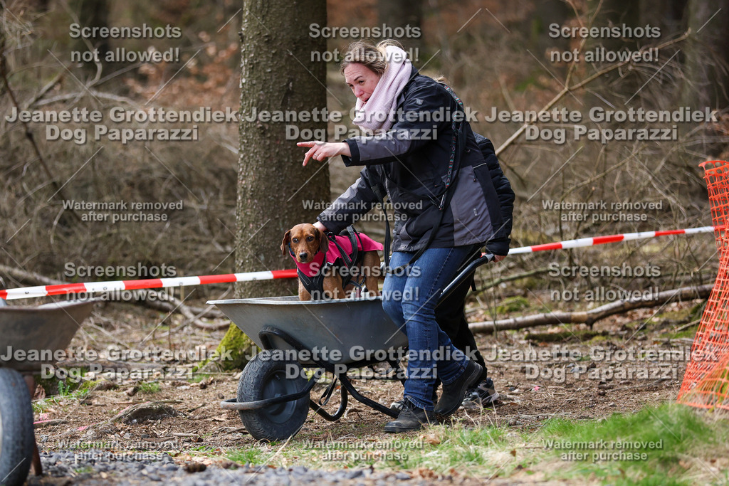 Dog Paparazzi - VCC26-718 | Dog Paparazzi Jeanette Grottendiek Fotografie & Videografie - Realisiert mit Pictrs.com