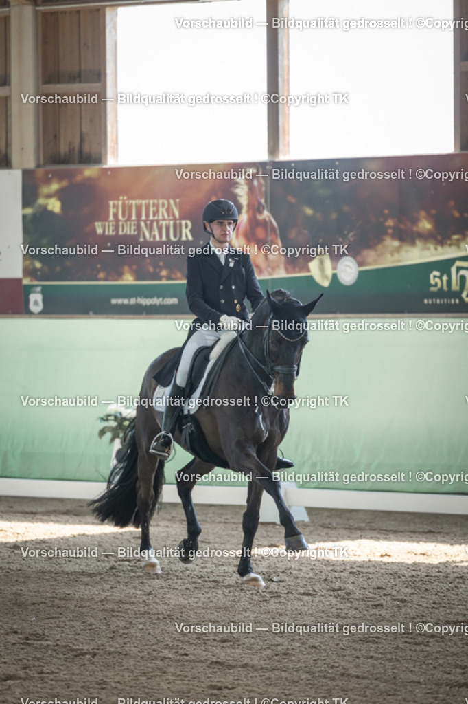 _D5A9274 | Emotionale Pferde- & People-Fotografie rund um Heidelberg, Leimen & Umgebung. Natürliche Fotos von Pferd, Mensch & Familie. Jetzt Termin sichern!