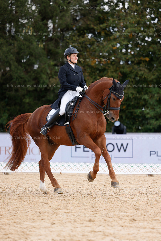 09_2-090-DRESSUR  S_  -StoibPH-5850 | working equitationturnier fotograf videograf stoibphotography marixx film working equitation deutschland reitsport turnierfotografie eventfotografie equestrian events