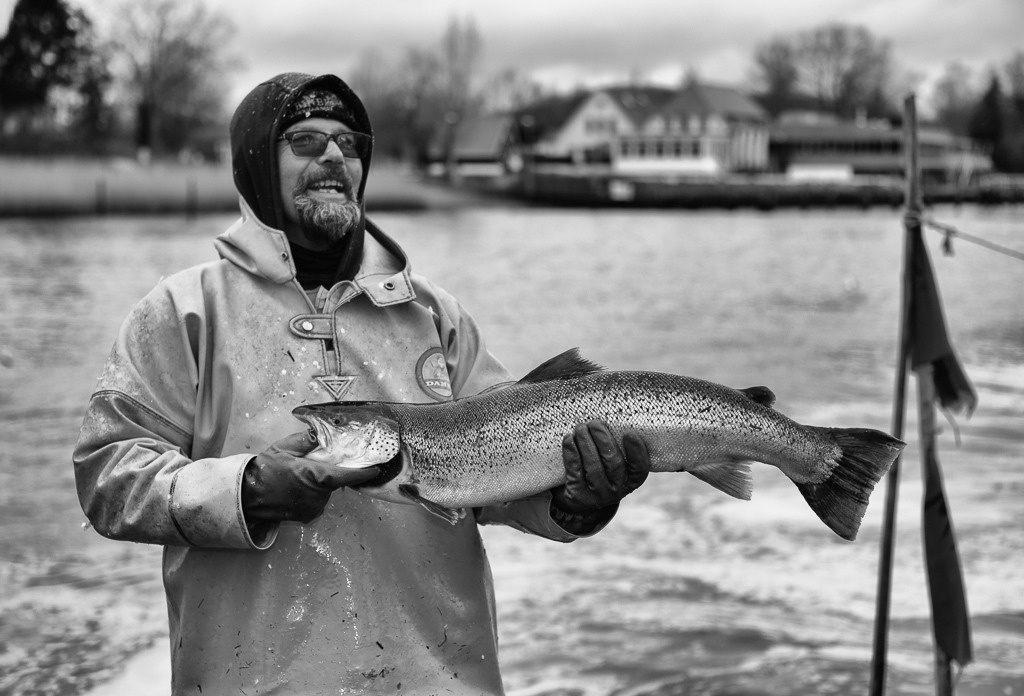 fischer-2020-044 | Matthias Nanz aus Schleswig ist einer der letzten Berufsfischer an der Schlei. Mit seinem Boot fährt er vom Liegeplatz in Missunde zu den Fanggründen in der Schlei. Im zeitigen Frühjahr werden vor allem Heringe gefangen. Manchmal gehen auch Meerforellen ins Netz wie dieses große Exemplar Ende März. - Realisiert mit Pictrs.com