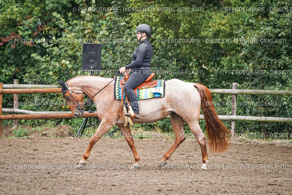 DSC01738 | Pferdegrafie