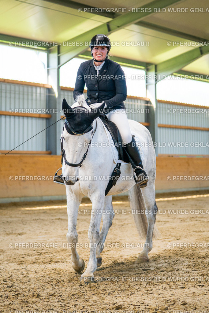 DSC06268 | Pferdegrafie