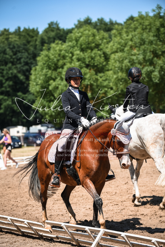 DSC_3150 | Pferde- und Turnierfotografie in Westsachsen. Pferdeportraits, Auftragszeichnungen und intuitive Kunst.
