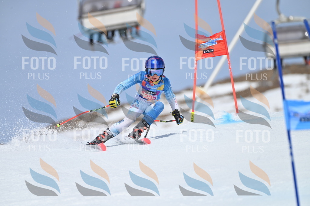 BGV_1591 | holidayphoto