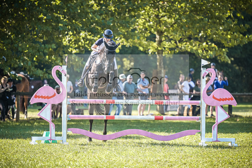 DOS_0214 | Entdecke hochwertige Reitturnierfotos von Foto Oger. Professionell, emotional und authentisch – jetzt Lieblingsmomente im Shop bestellen.Deutschlandweite Turnierfotografie. - Realisiert mit Pictrs.com