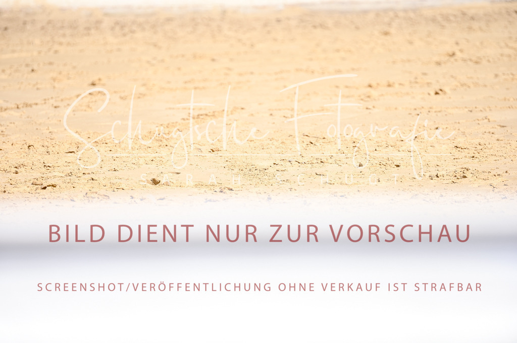 Schugtsche-Aluta25-52.Dressurprf.M2Kand-369 | Schugtsche Fotografie - Realisiert mit Pictrs.com
