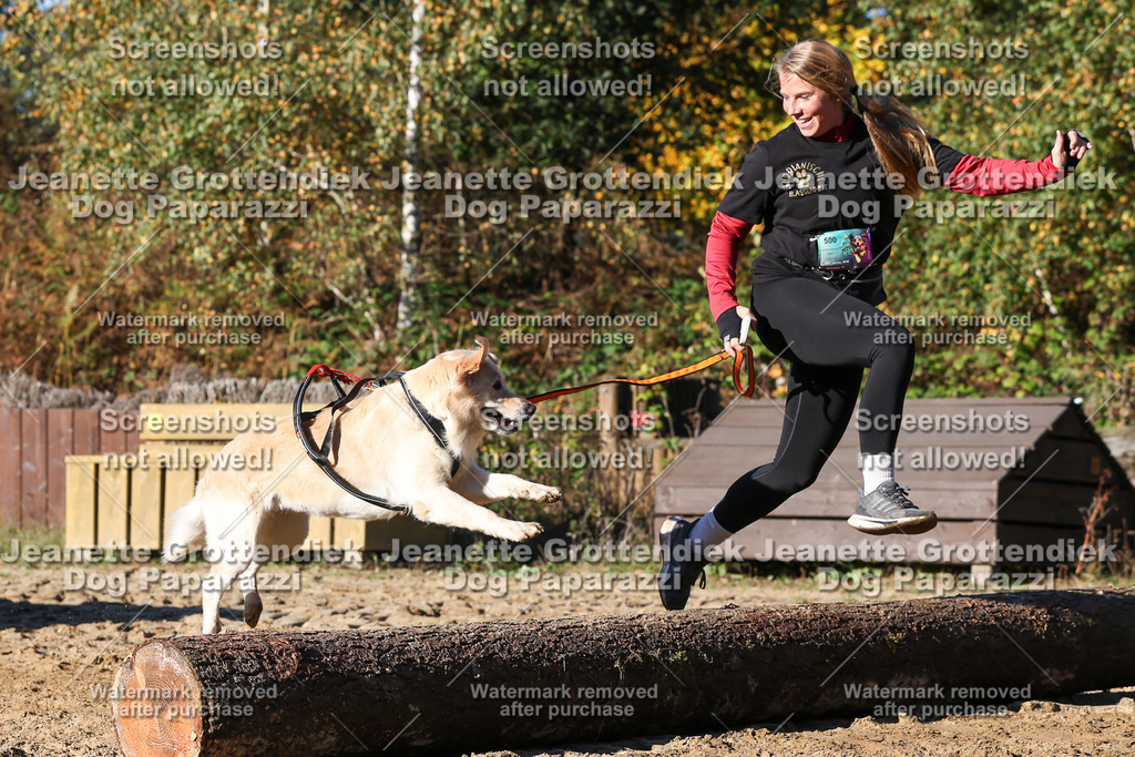 Dog Paparazzi - Strongdog 10-25-1717 | Dog Paparazzi Jeanette Grottendiek Fotografie & Videografie - Realisiert mit Pictrs.com