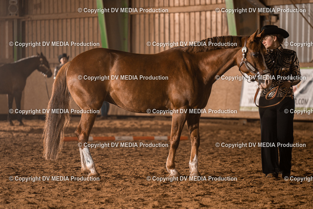 BAL01204 | dv-media-shop - Realisiert mit Pictrs.com