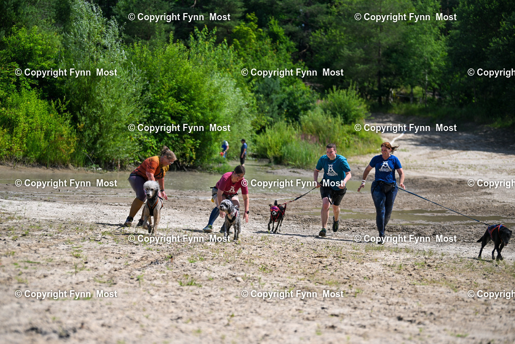 DSC_1198 | Hallo und herzlich Willkommen auf meiner Shop-Seite Fynn Most.

Ich wünsche Dir viel Spaß beim stöbern durch die Bilder, wenn Du Fragen hast oder Bilder vermisst, kannst du mir gerne eine Nachricht schreiben. - Realisiert mit Pictrs.com