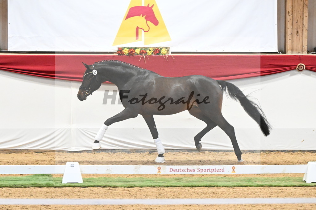 Kat.-Nr. 40 v. Despacito_Greim_3260238 | hf-fotografie - Realisiert mit Pictrs.com