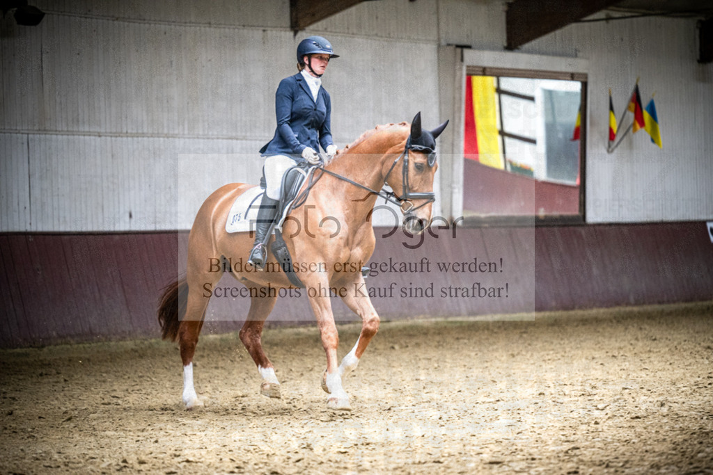 DOS_0385 | Reitturnier Lüdinghausen - Realisiert mit Pictrs.com