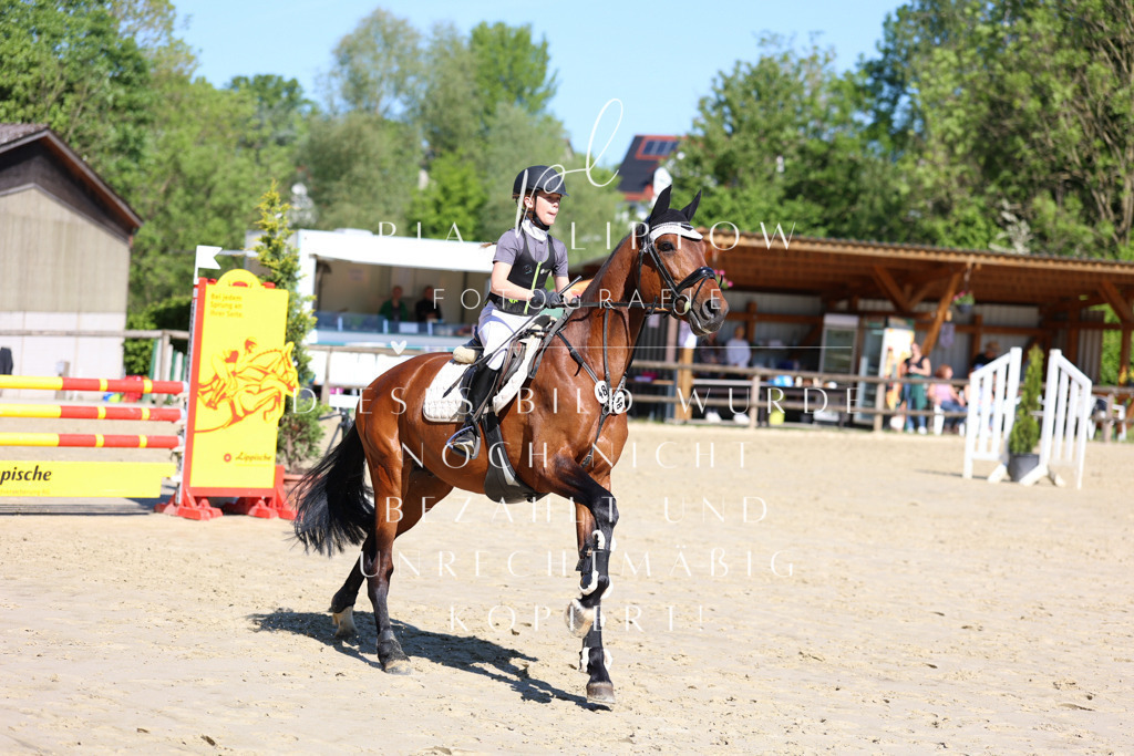 IMGS6848 | pl-fotografie