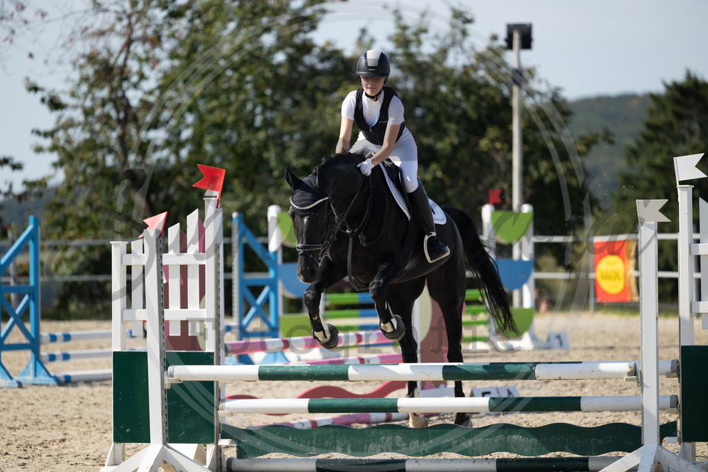 994A1827 | sabrinanicolaifotografie - Realisiert mit Pictrs.com