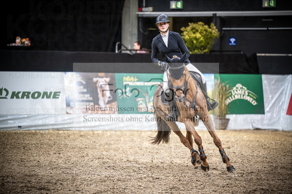 DOS_2857 | Entdecke hochwertige Reitturnierfotos von Foto Oger. Professionell, emotional und authentisch – jetzt Lieblingsmomente im Shop bestellen.Deutschlandweite Turnierfotografie. - Realisiert mit Pictrs.com