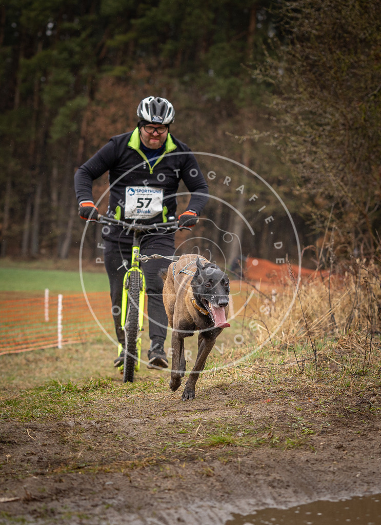 DV3A9477 | Hundefotografie, Tierfotograf, Pfotenfotografie, Fotoshooting Hund, Hunde Portrait, Hundesport, Hundeportraits, Heideshooting, Hunde, Sportfotograf, Hundefotograf, Turnierhundsport, THS,  - Realisiert mit Pictrs.com