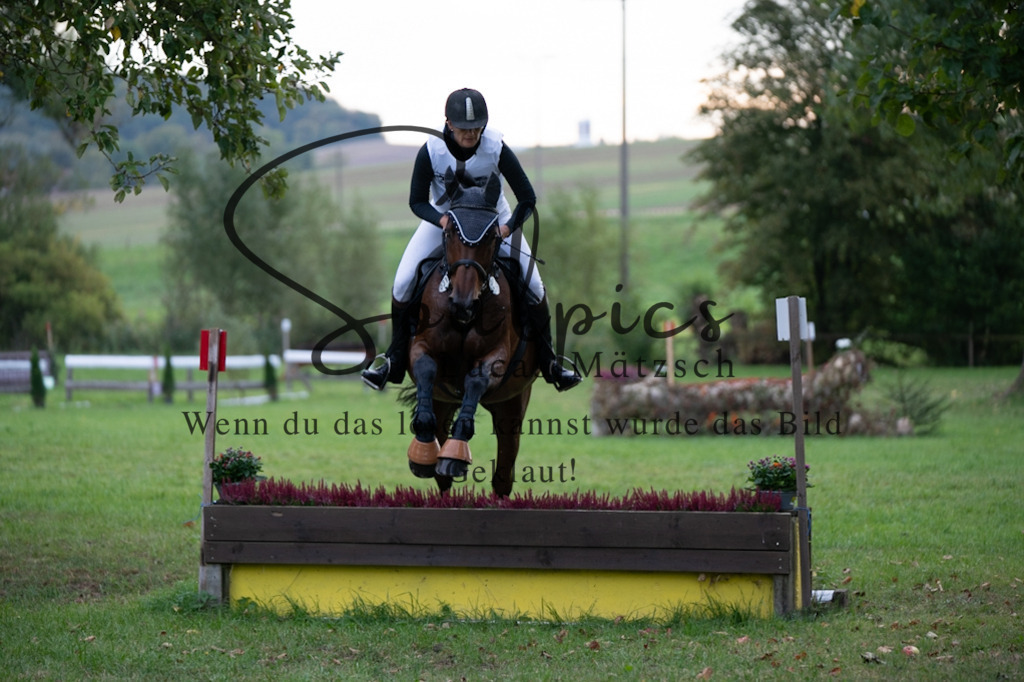 A7V02952 | Turnier/Reitfotograf
