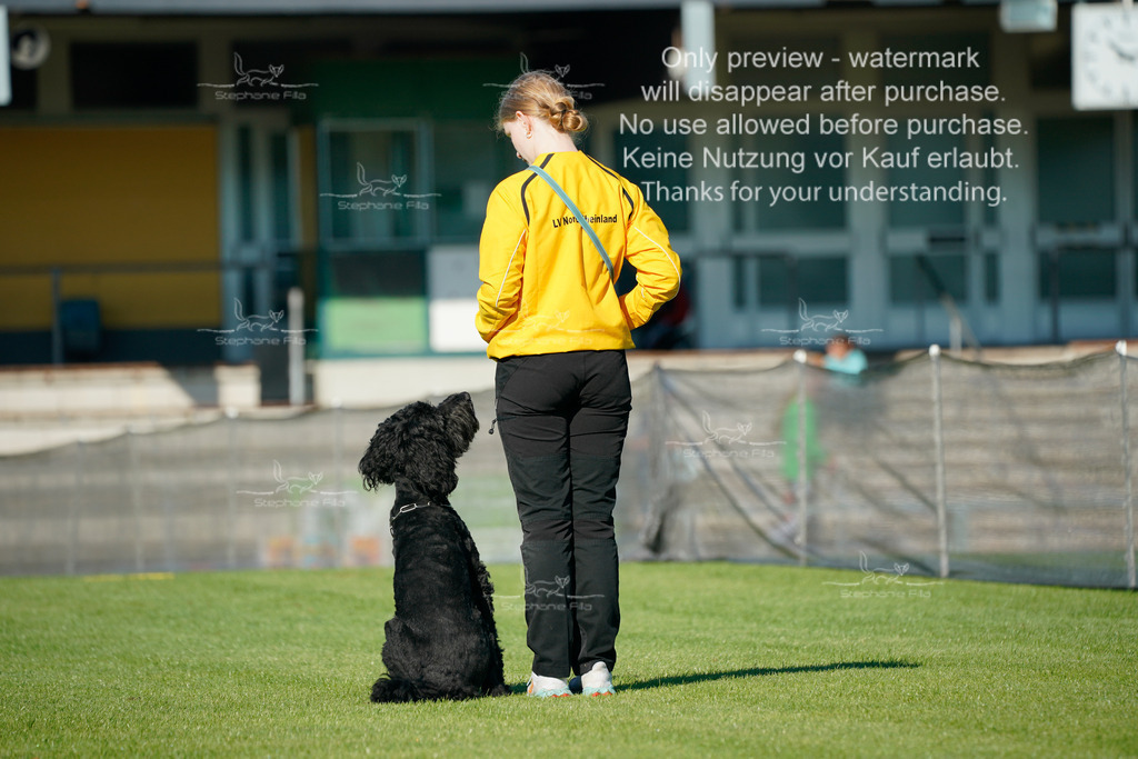 Samstag_Gehorsam_V2 (17) | stephaniefillaphotographie - Realisiert mit Pictrs.com