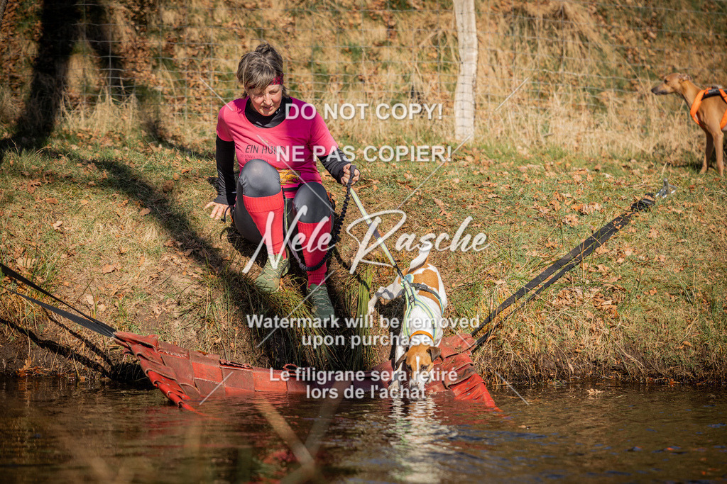 nelerasche_FS0900-1000_331 | nelerasche