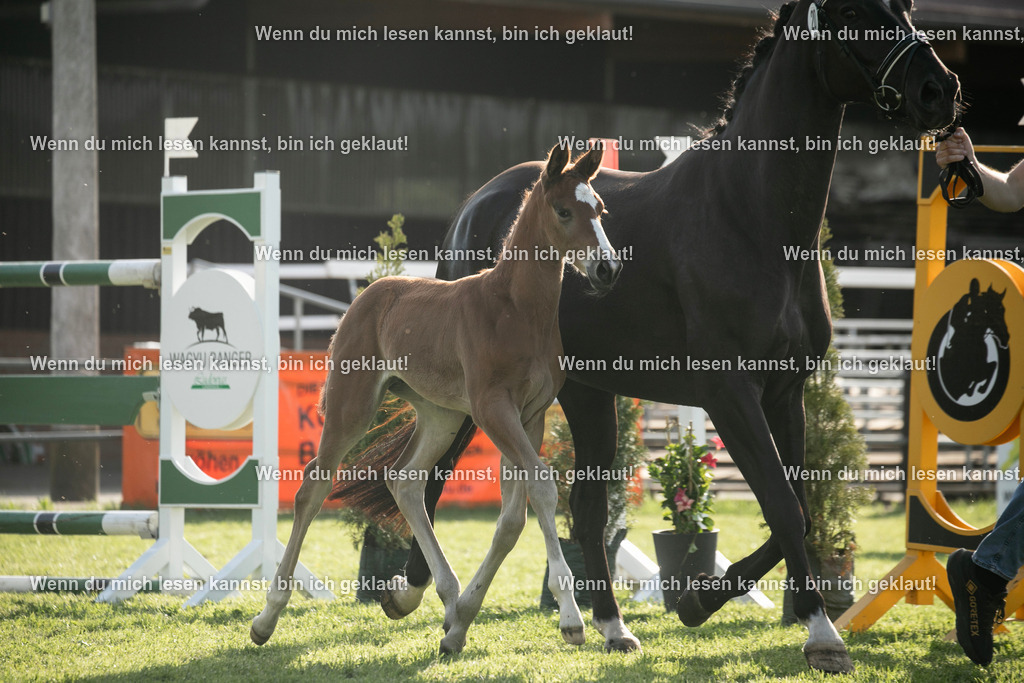 598A7369 | photographylinaismer - Realisiert mit Pictrs.com