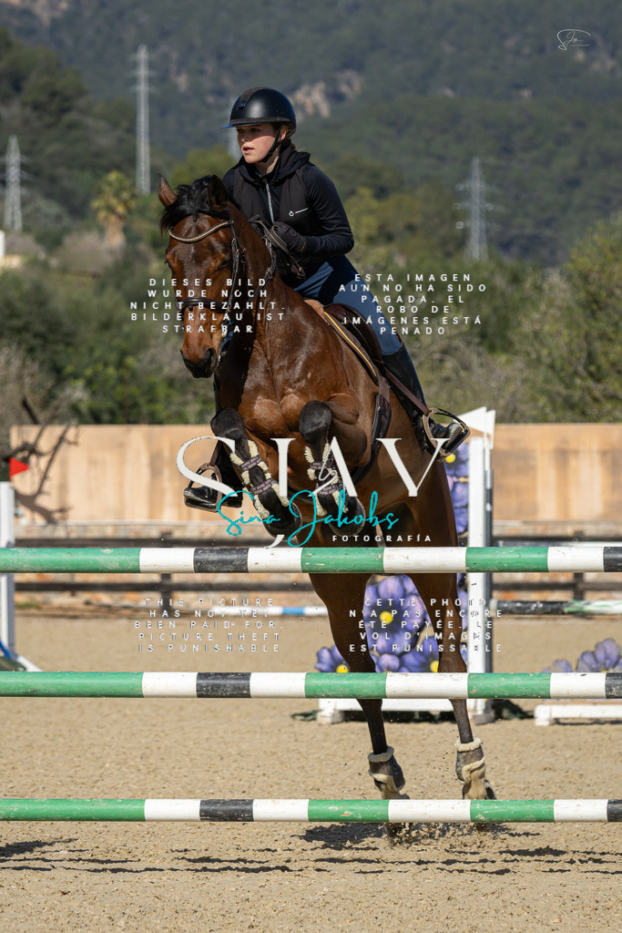 IMG_6804 | s-jay-photography - Realisiert mit Pictrs.com