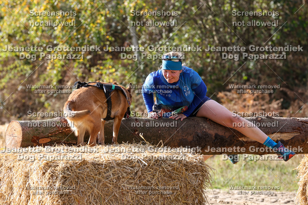 Dog Paparazzi - Strongdog 10-25-5788 | Dog Paparazzi Jeanette Grottendiek Fotografie & Videografie - Realisiert mit Pictrs.com