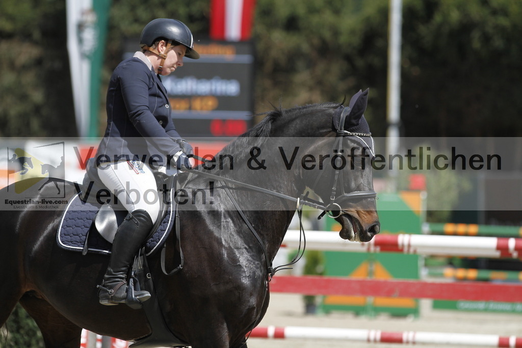 _MG_7348 | equestrian-live-com