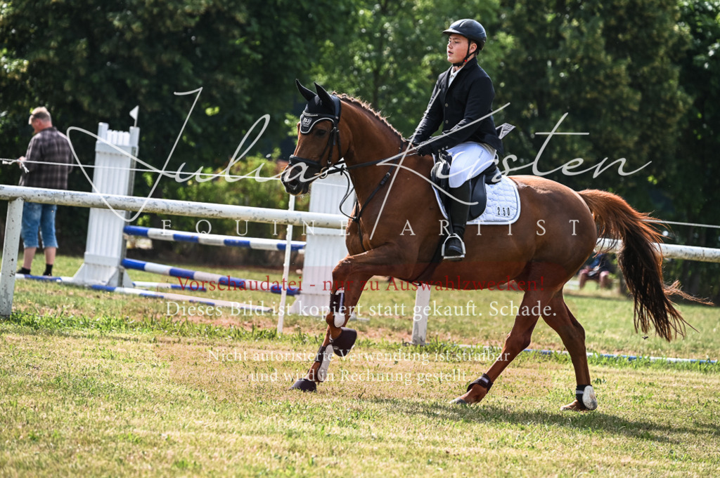 DSC_8174 | Pferde- und Turnierfotografie in Westsachsen. Pferdeportraits, Auftragszeichnungen und intuitive Kunst.