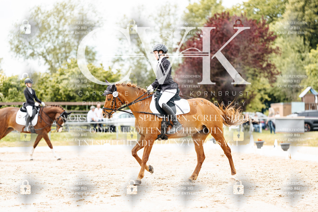 CK903003 | Turnierfotografie Pferdefotografie Trier Rheinland-Pfalz Pferdesport Reitsport Tierfotografie Sportfotografie Pferdevideo Pferdevideografie Equestrianvideography equestrianphotography  - Realisiert mit Pictrs.com