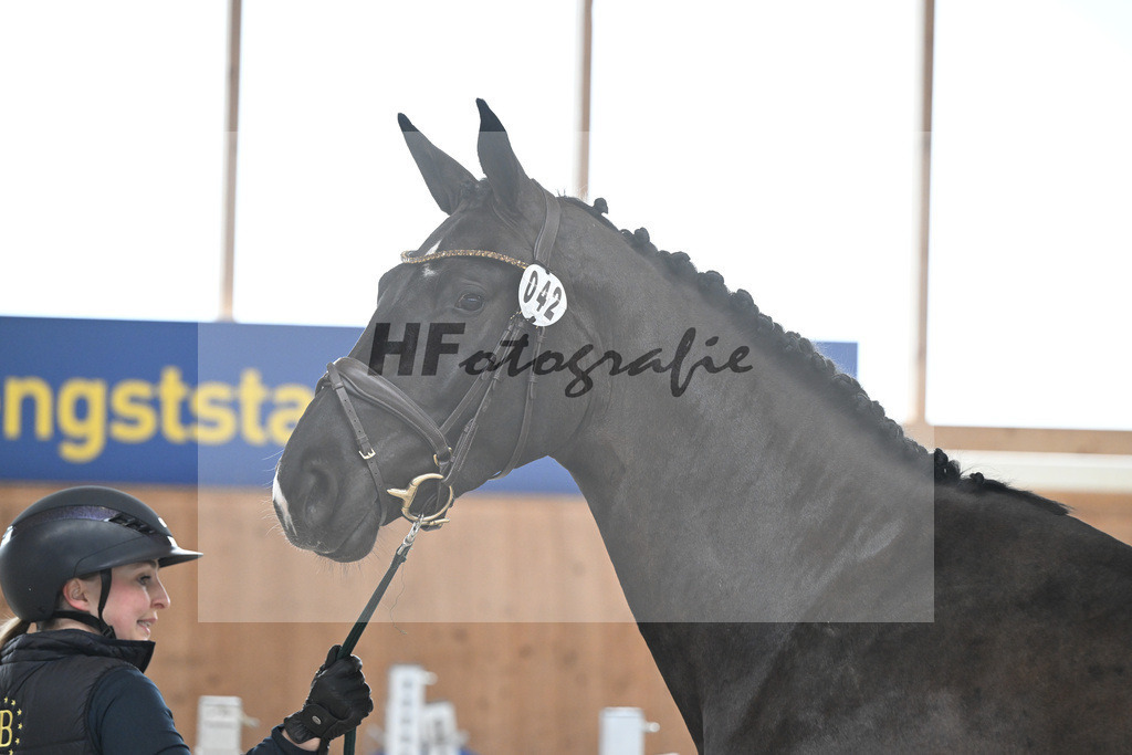 Kat-Nr. 42 I m Amy Blue VK v. I m Special de Muze_Vogelgut_14260227 | hf-fotografie - Realizzato con Pictrs.com