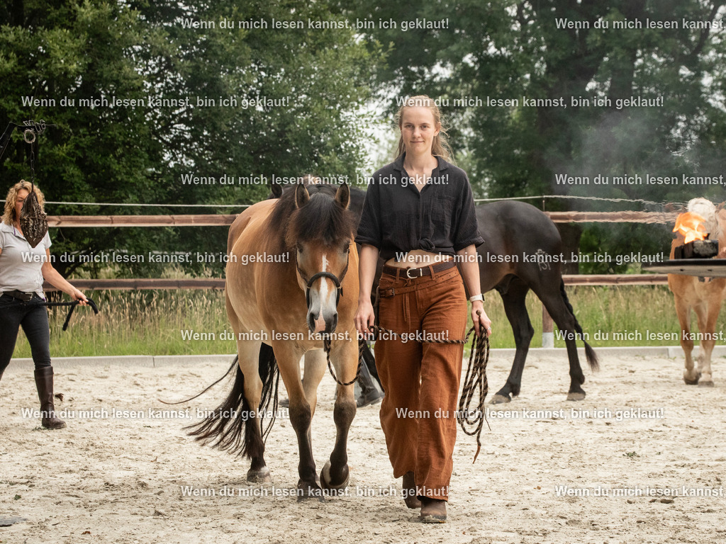 598A6285 | photographylinaismer - Realisiert mit Pictrs.com