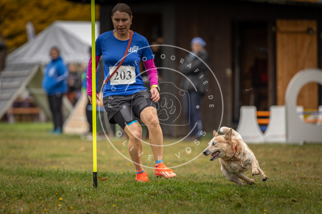 Pfotenfotografie_DV3A1661 | Hundefotografie, Tierfotograf, Pfotenfotografie, Fotoshooting Hund, Hunde Portrait, Hundesport, Hundeportraits, Heideshooting, Hunde, Sportfotograf, Hundefotograf, Turnierhundsport, THS,  - Realisiert mit Pictrs.com