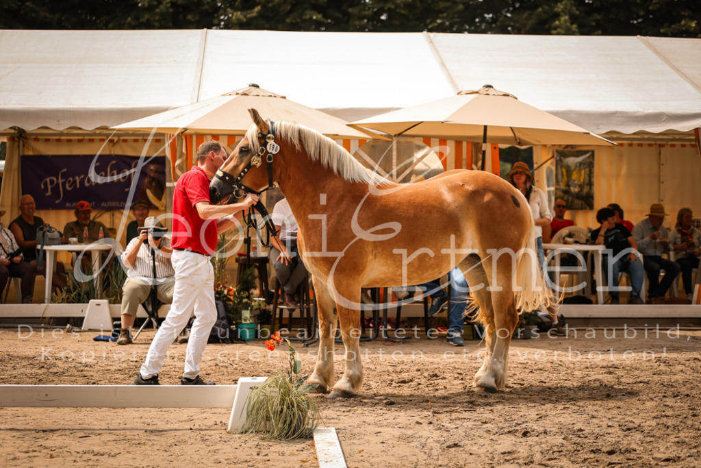 3.Sa00047 | Leoni Ertmer Photography - Realisiert mit Pictrs.com