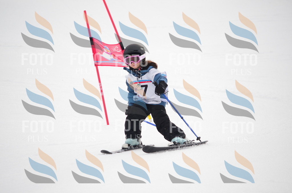 B9974 | holidayphoto