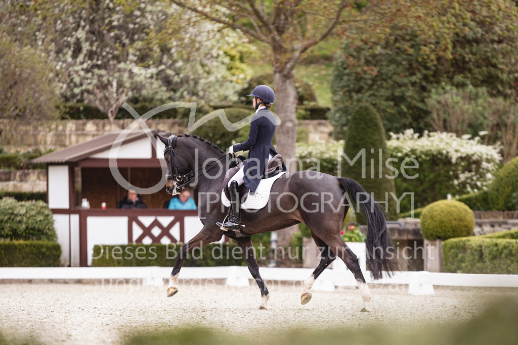 260412_Kronberg_S-Dressur-615 | Deine schönsten Turniermomente als professionelle Fotos! Entdecke hochwertige Pferdesport-Fotografie im Online-Shop. Jetzt Fotos finden & bestellen!