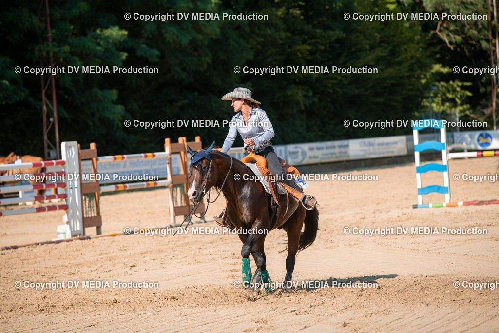 ZS2_8797 | dv-media-shop - Realisiert mit Pictrs.com