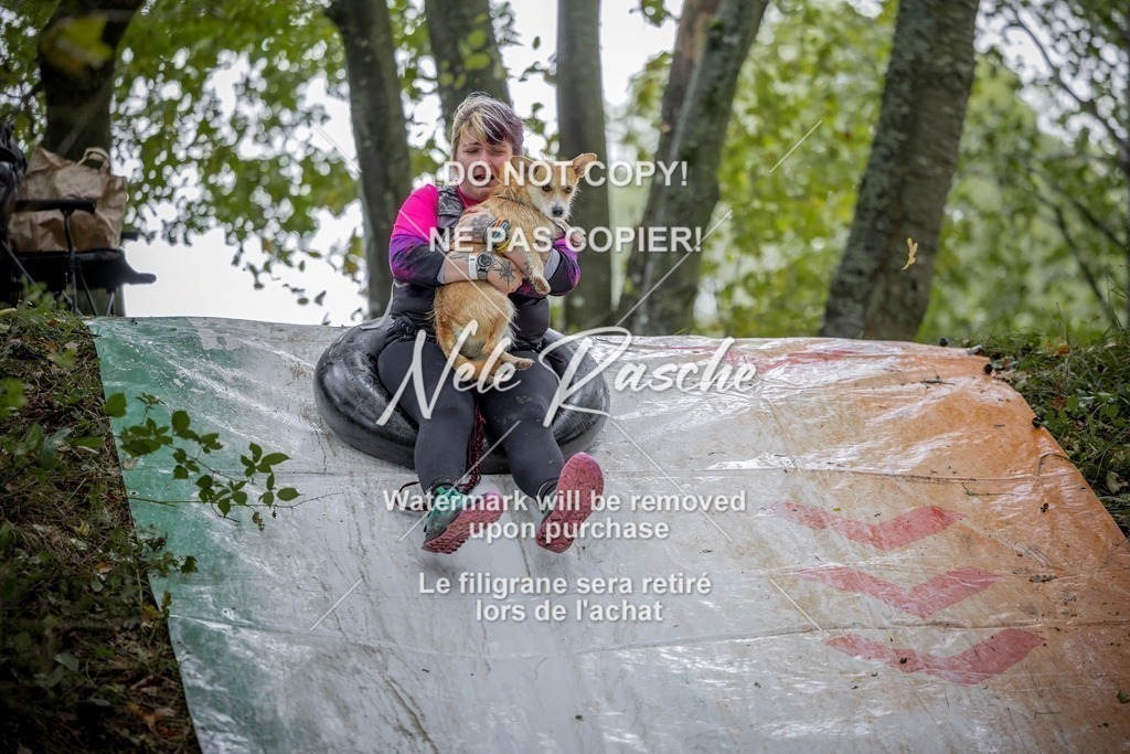 nelerasche_Hunsrück_Sa1000-1030_177-final | nelerasche
