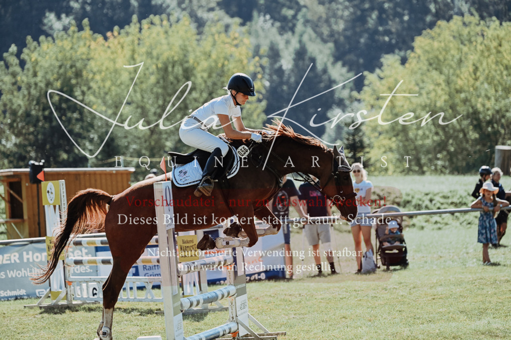 DSC_5620 | Pferde- und Turnierfotografie in Westsachsen. Pferdeportraits, Auftragszeichnungen und intuitive Kunst.