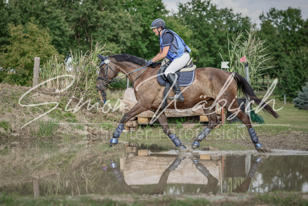 20250905-_3LI1059 | Tierfotografie Pferde, Hunde, Katzen, Haustiere.
Turnierfotografie Reitturniere, Reiten, Springreiten, Dressur in Hanau, dem Main-Kinzig-Kreis und dem Rhein-Main- Gebiet um Frankfurt