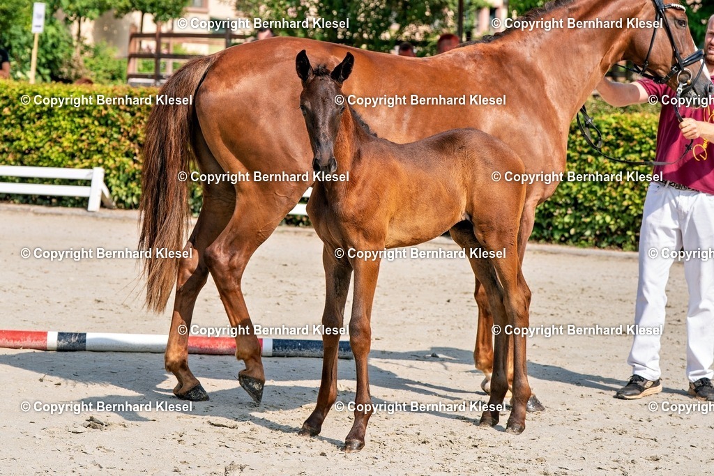 2A908845 | foto-team-bernhard - Realisiert mit Pictrs.com
