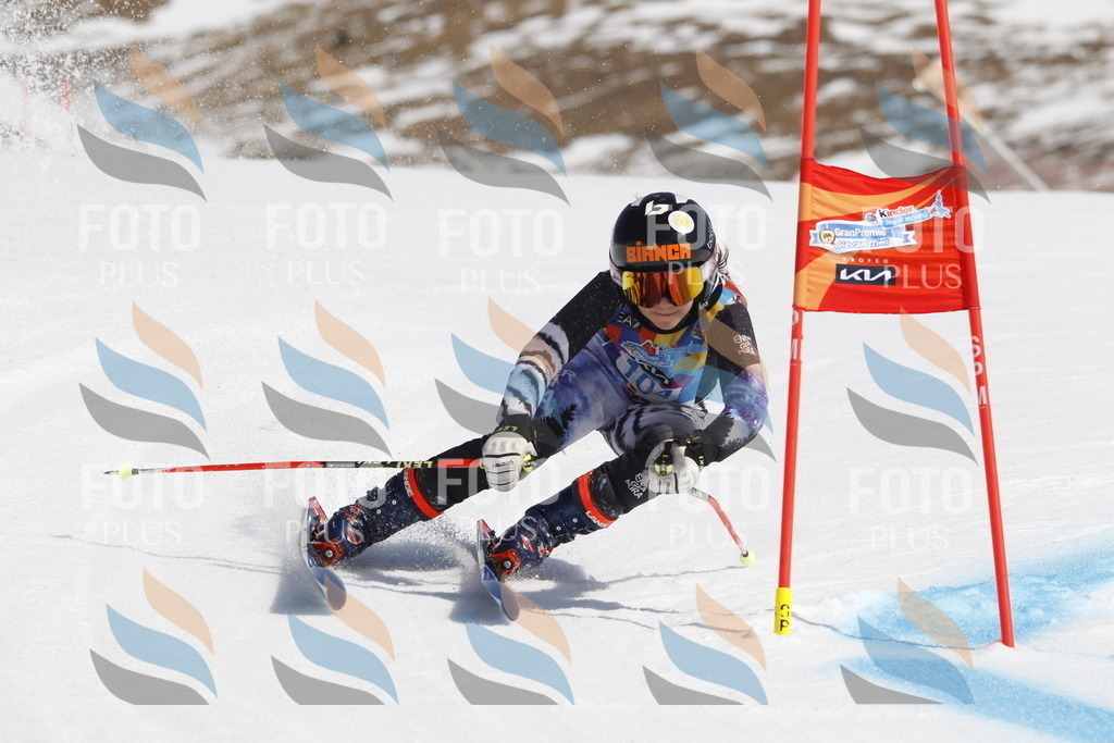 _U3G0378 | holidayphoto