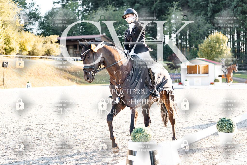 CK907279 | Turnierfotografie Pferdefotografie Trier Rheinland-Pfalz Pferdesport Reitsport Tierfotografie Sportfotografie Pferdevideo Pferdevideografie Equestrianvideography equestrianphotography  - Realisiert mit Pictrs.com